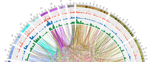 Graph to show circos plot of genetic association